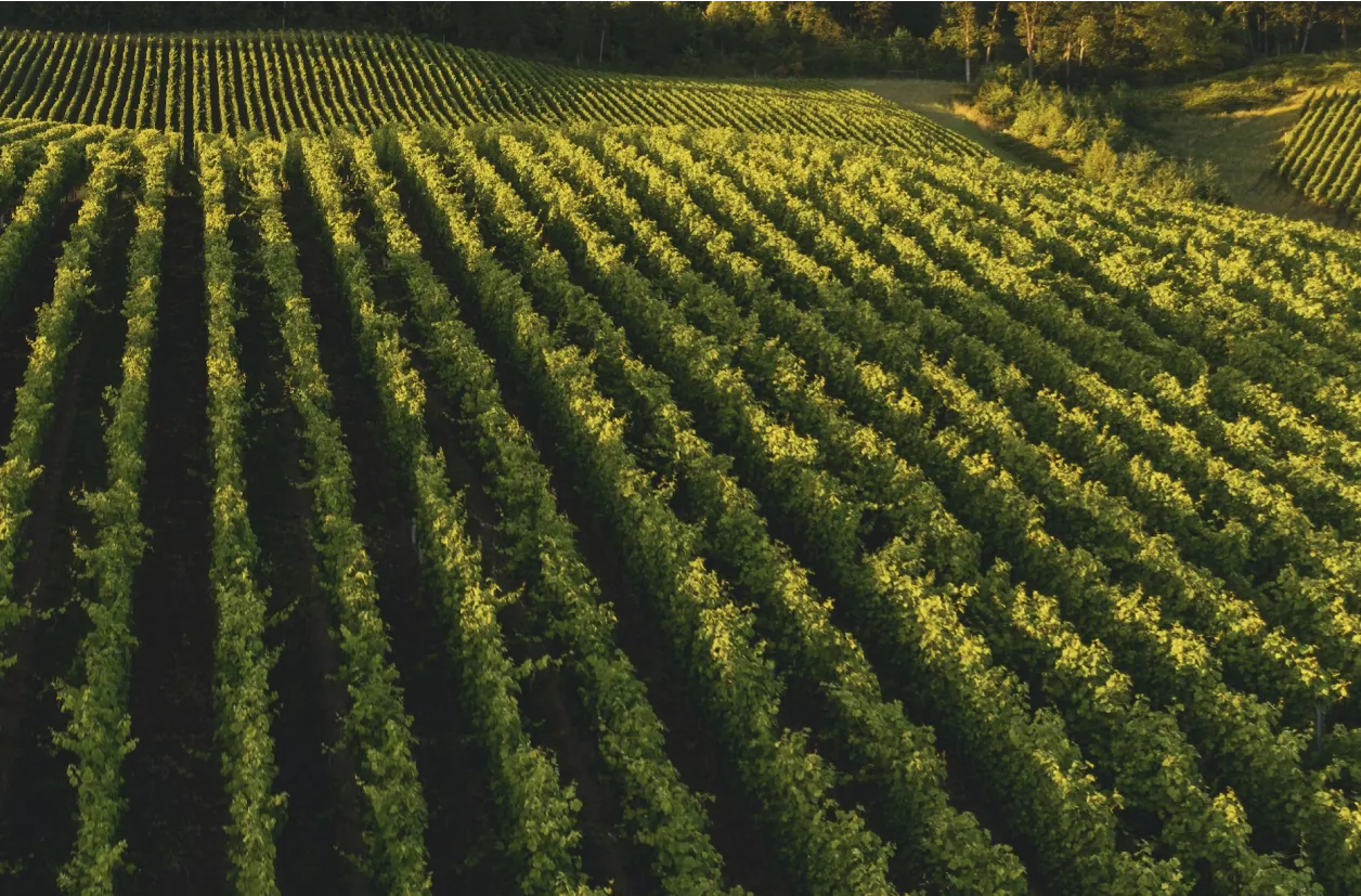 Greenify Connect Image 1