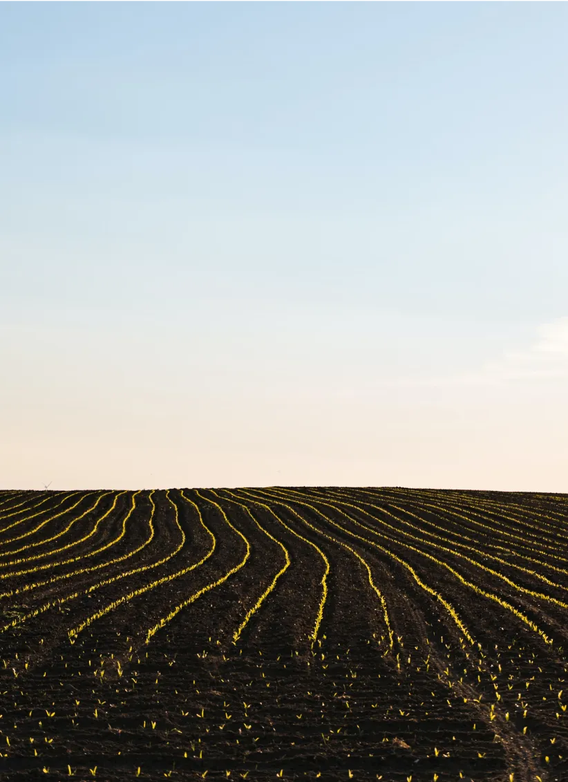 Greenify Innovative Image 1