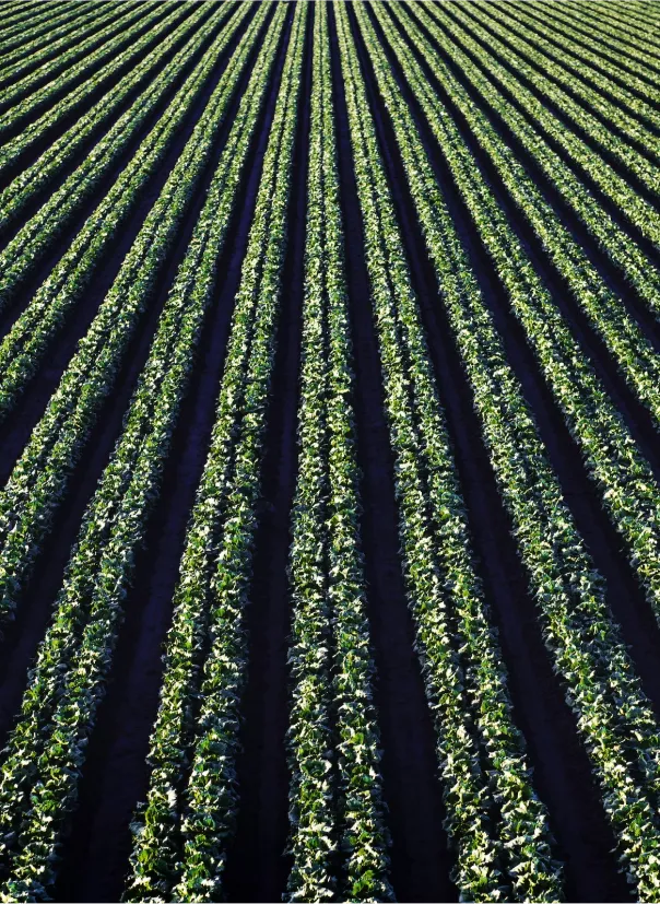 Greenify Products Image 2