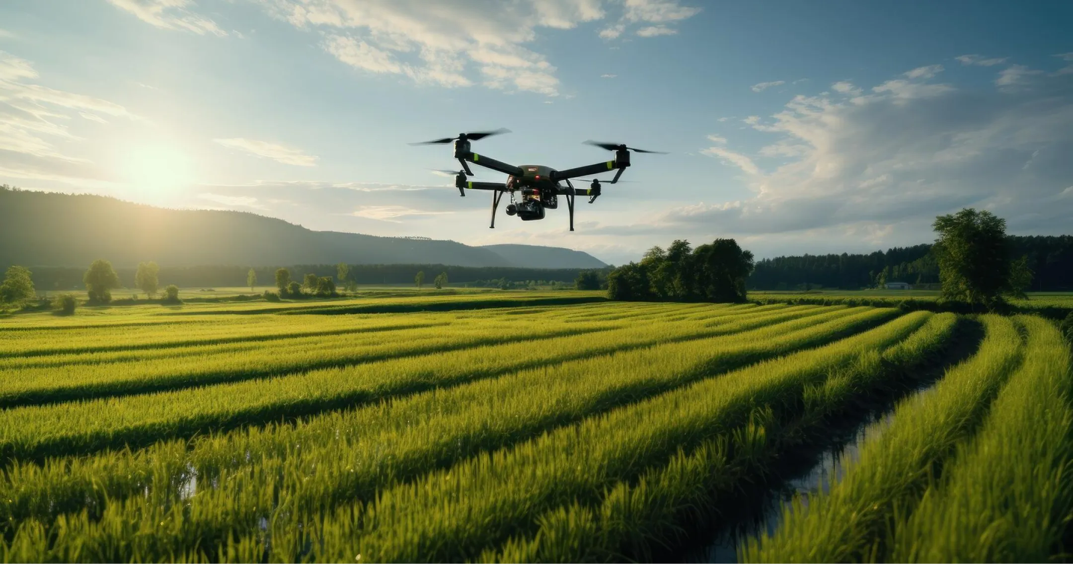 Greenify Services Hero Image.webp