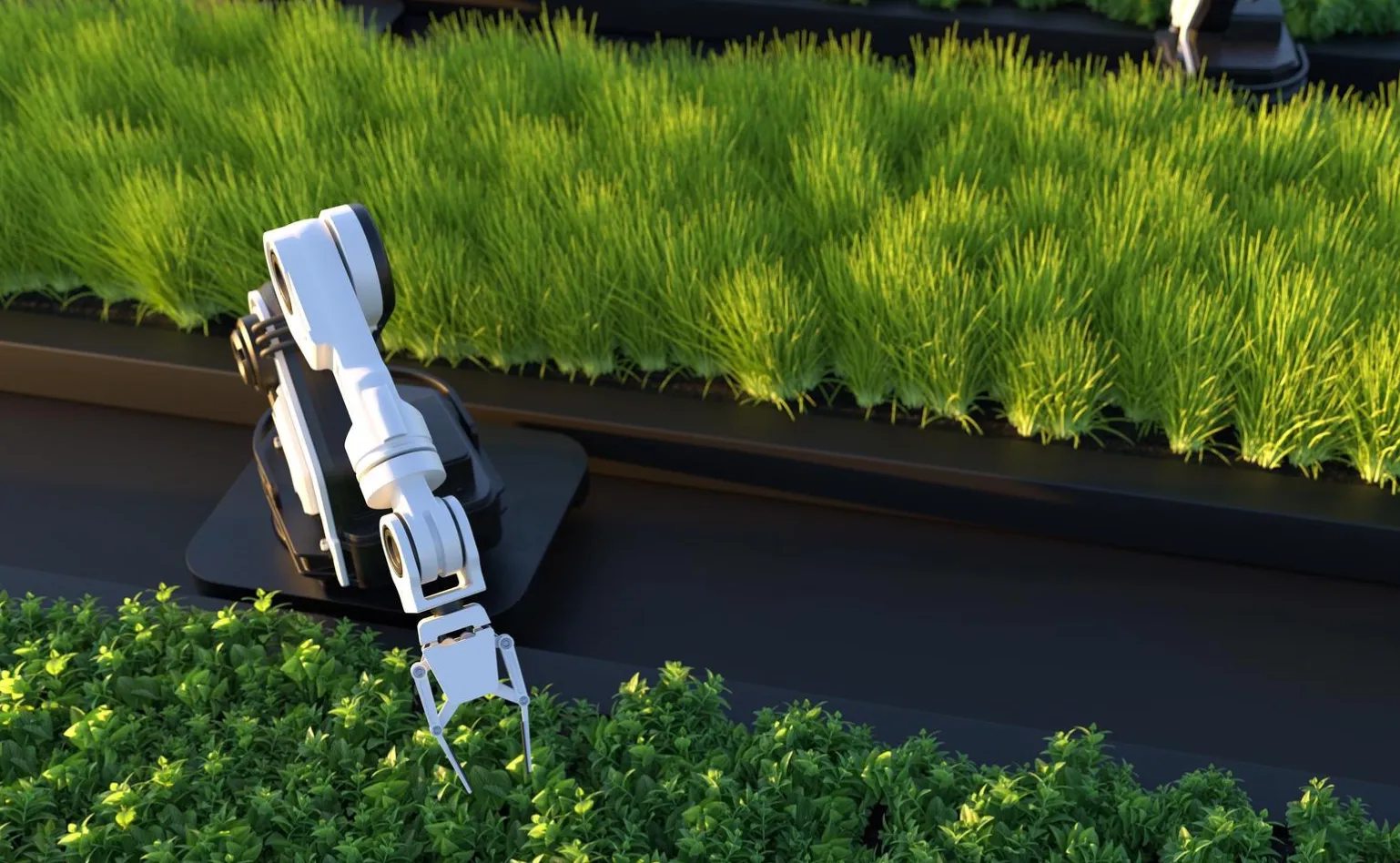 Greenify Services Technology Image 1.webp