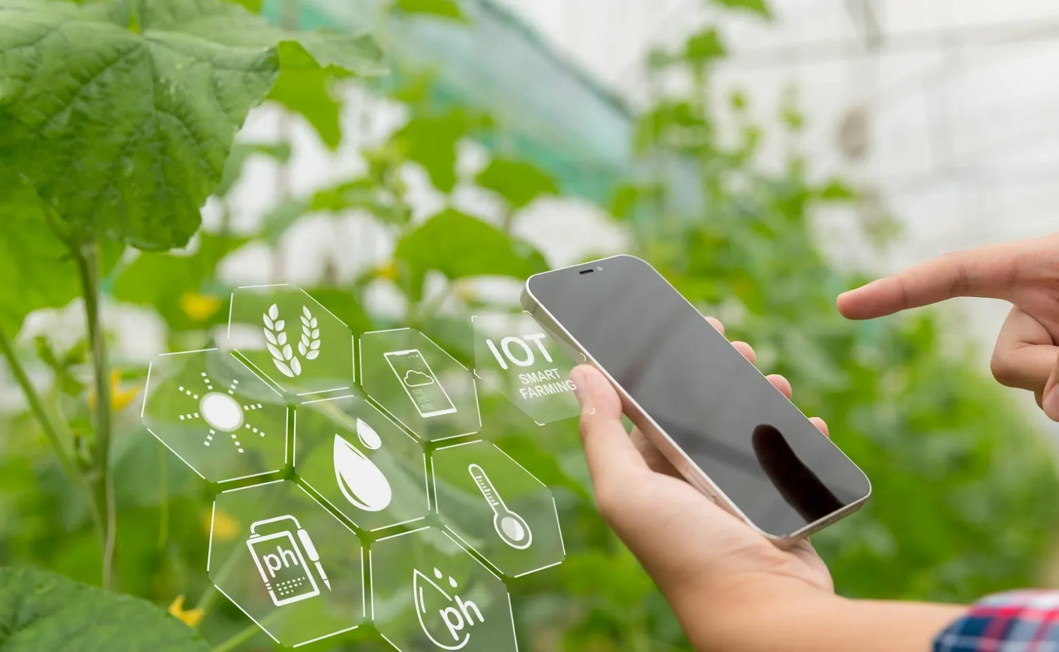 Greenify Services Technology Image 2.webp