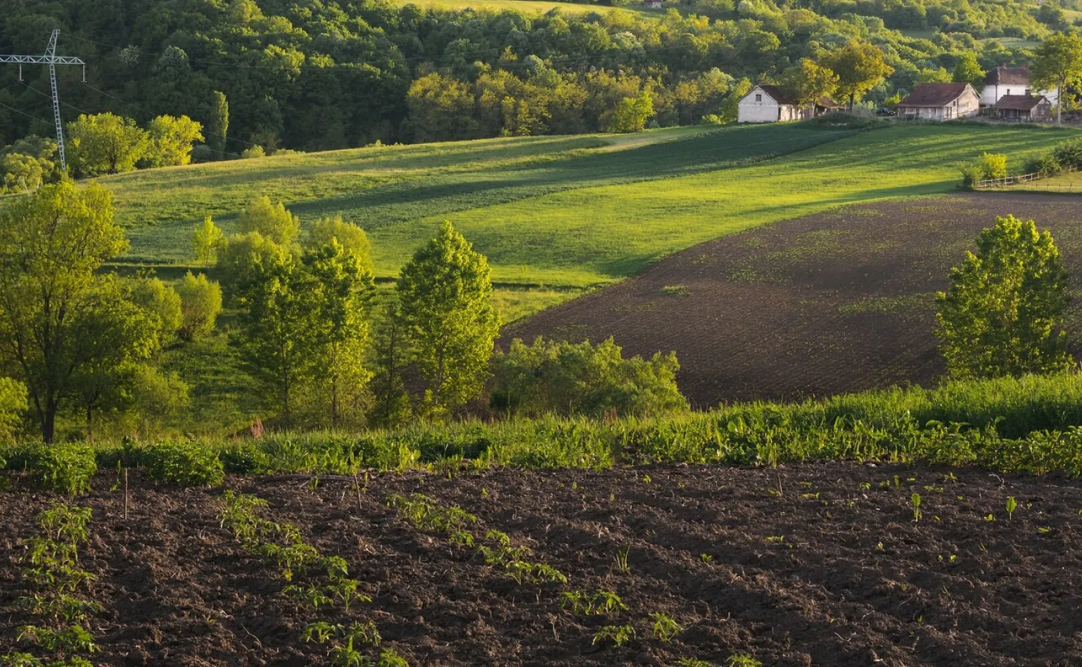 Greenify Services Technology Image 3.webp